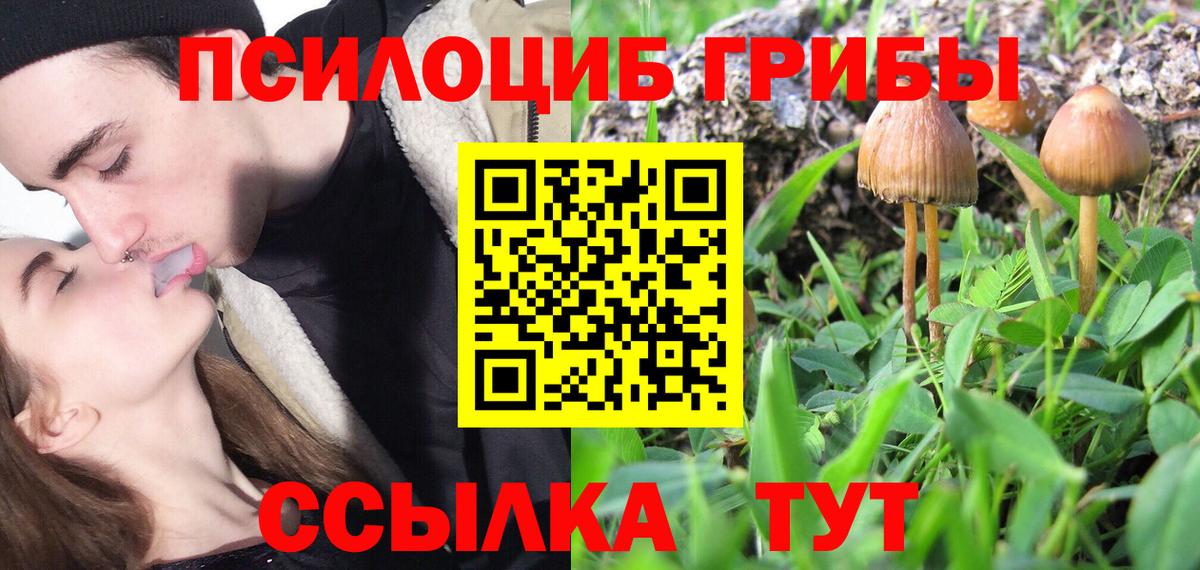 Галлюциногенные грибы Cubensis Кропоткин